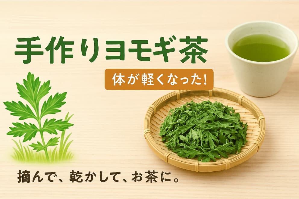 自家製ヨモギ茶の作り方を紹介する画像。左にヨモギのイラスト、右に乾燥ヨモギと湯飲み、中央に「手作りヨモギ茶」の文字。