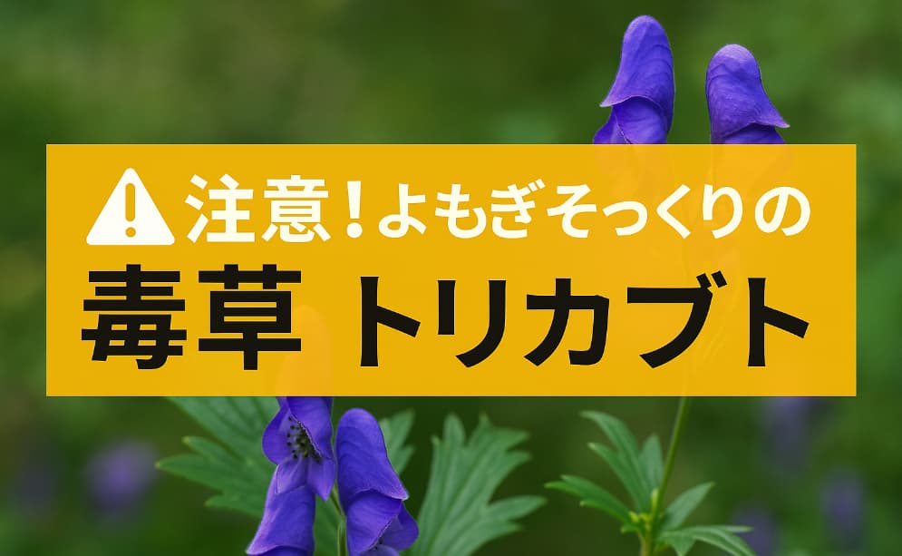 「注意！よもぎそっくりの毒草 トリカブト」と書かれた横長の警告バナー。背景には、青紫色の兜のような花を咲かせるトリカブトの写真があり、葉も写っている。黄色の帯に白と黒の文字が大きく目立つデザイン。