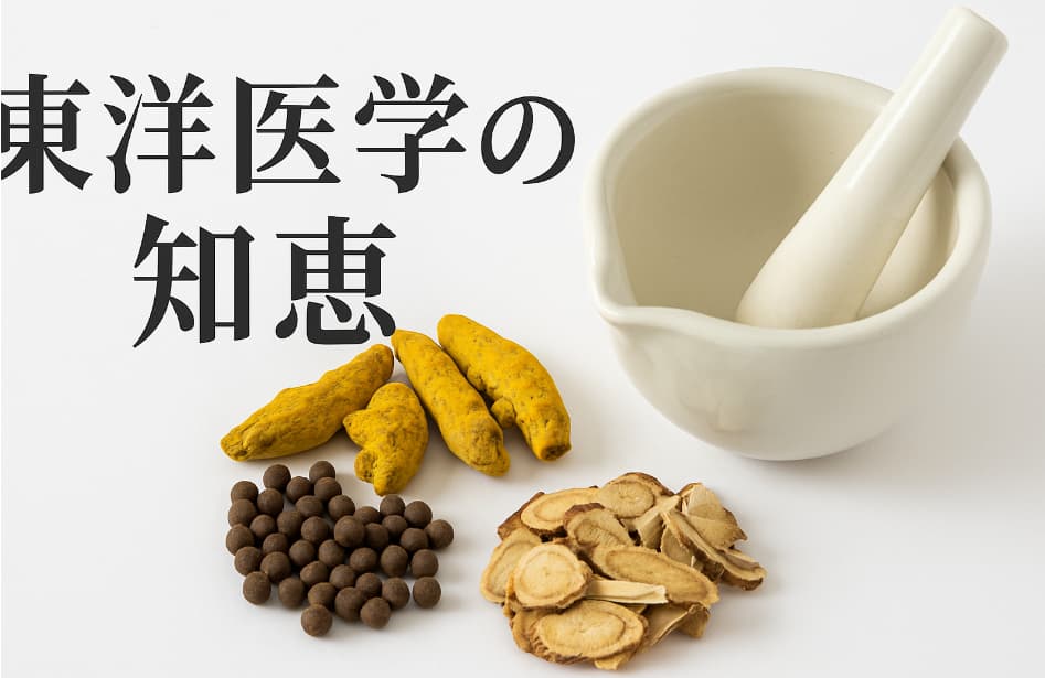 伝統的な東洋医学の道具である乳鉢とすり棒、周囲に並ぶ漢方薬の写真